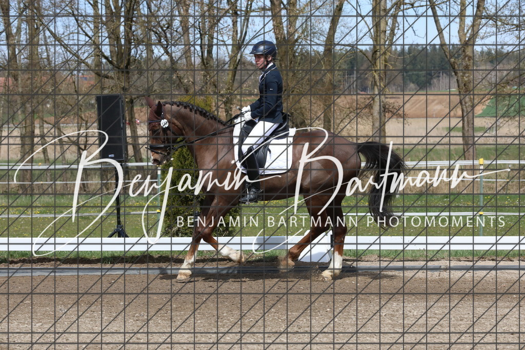 AZ2A3877 | Benjamin Bartmann Photomoments