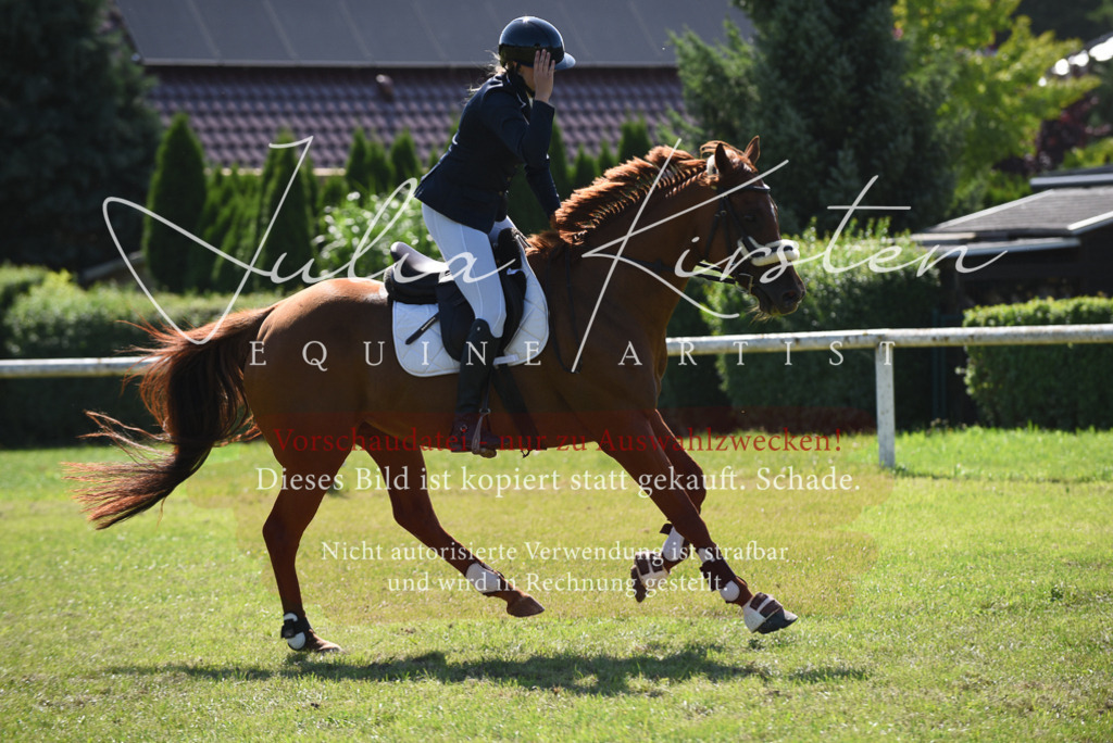 DSC_9360 | Pferde- und Turnierfotografie in Westsachsen. Pferdeportraits, Auftragszeichnungen und intuitive Kunst.