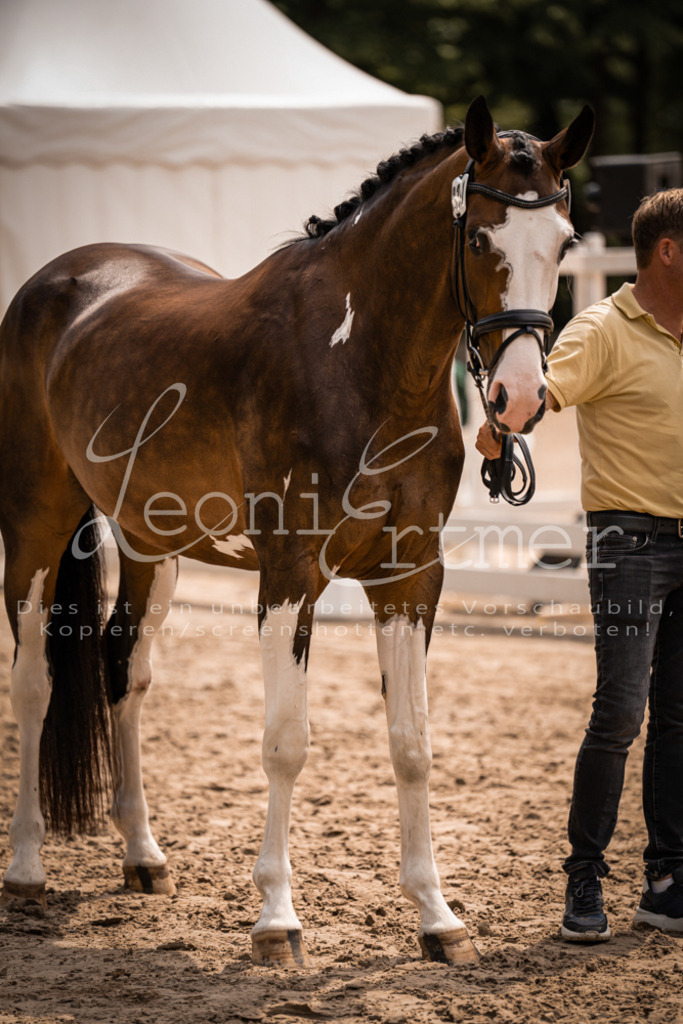 3.Fr00193 | Leoni Ertmer Photography - Realisiert mit Pictrs.com