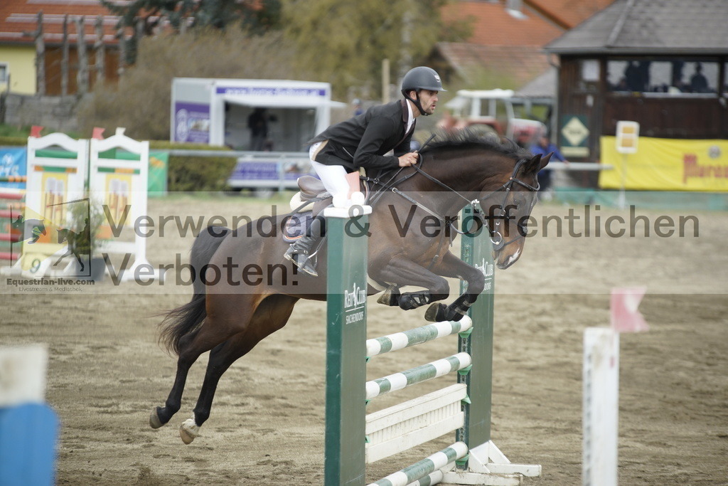 _DSC7446 | equestrian-live-com