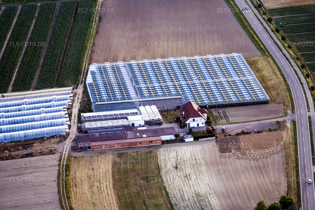 Luftbild: Sandhof in Herxheim bei Landau im Bundesland Rheinland-Pfalz in Deutschland. Foto: IMG_3356.jpg vom 04.07.2006 durch Werner Riehm/FLY-FOTO.de