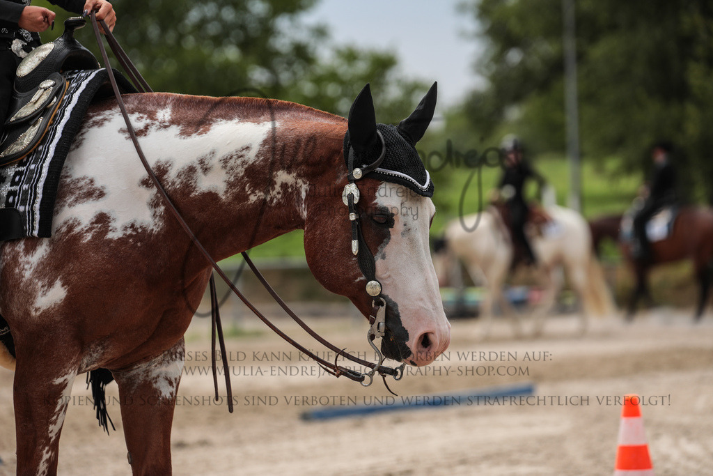 20230629-JuliaEndrejatPhotography-1409 | Julia Endrejat Photography