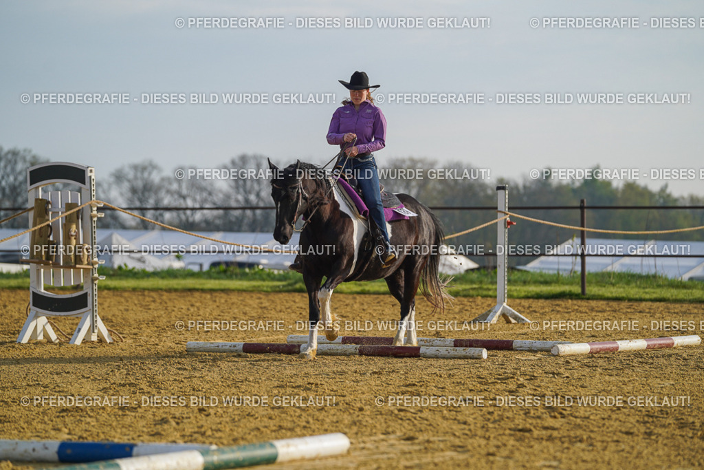 DSC00290 | Pferdegrafie