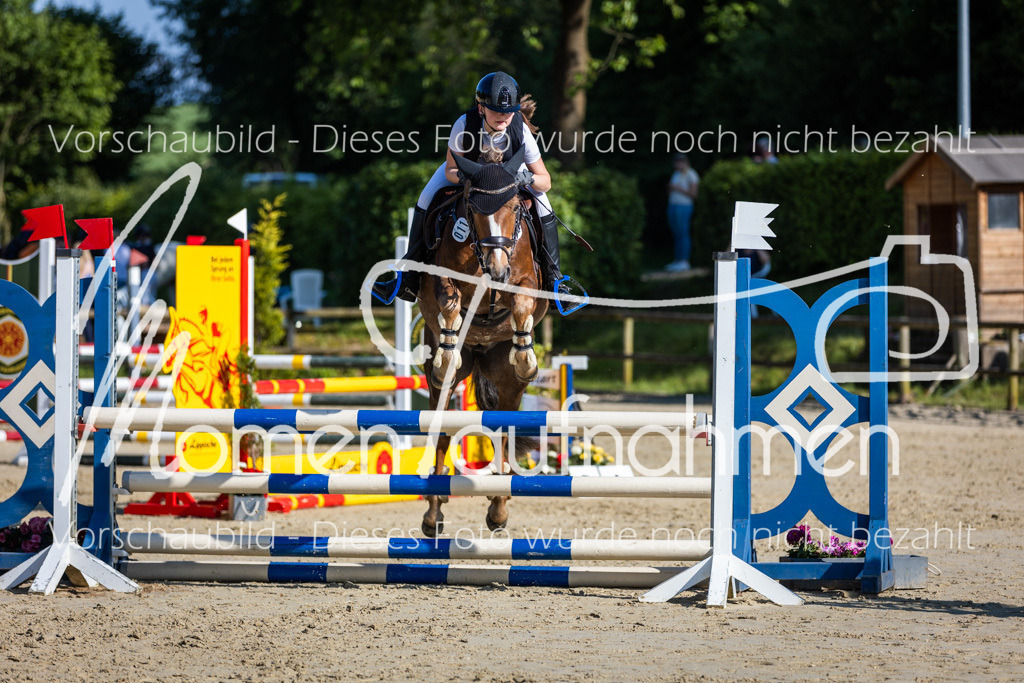 Donop24-ASpr-084 | MomenTaufnahmen Pferdesportfotos