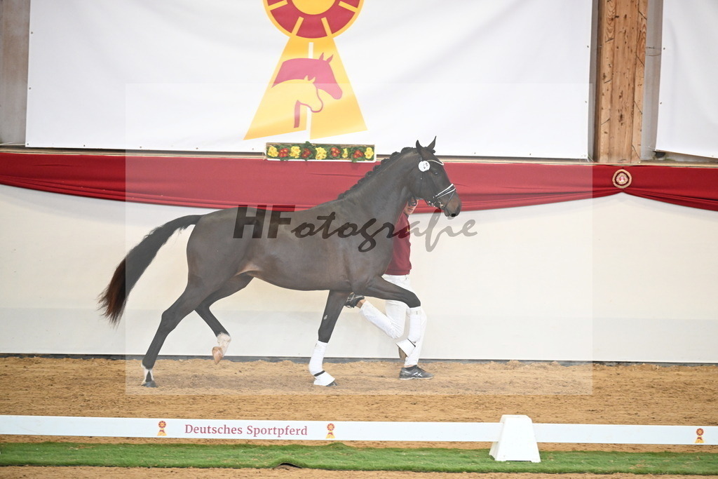 Kat.-Nr. 66 v. Fürstenball_Höchsmann_2250471 | hf-fotografie - Realisiert mit Pictrs.com