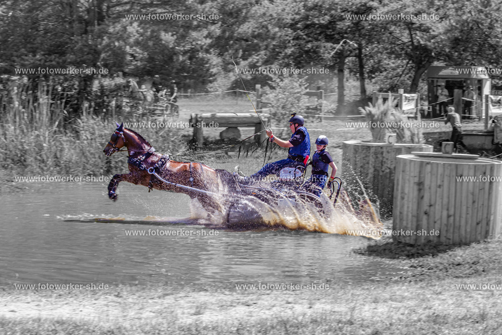 190629-19VW5236-5 | Fotowerker-sh - Realisiert mit Pictrs.com