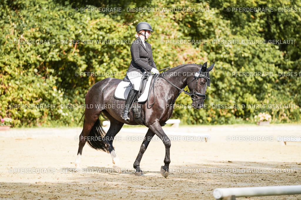 DSC02230 | Pferdegrafie