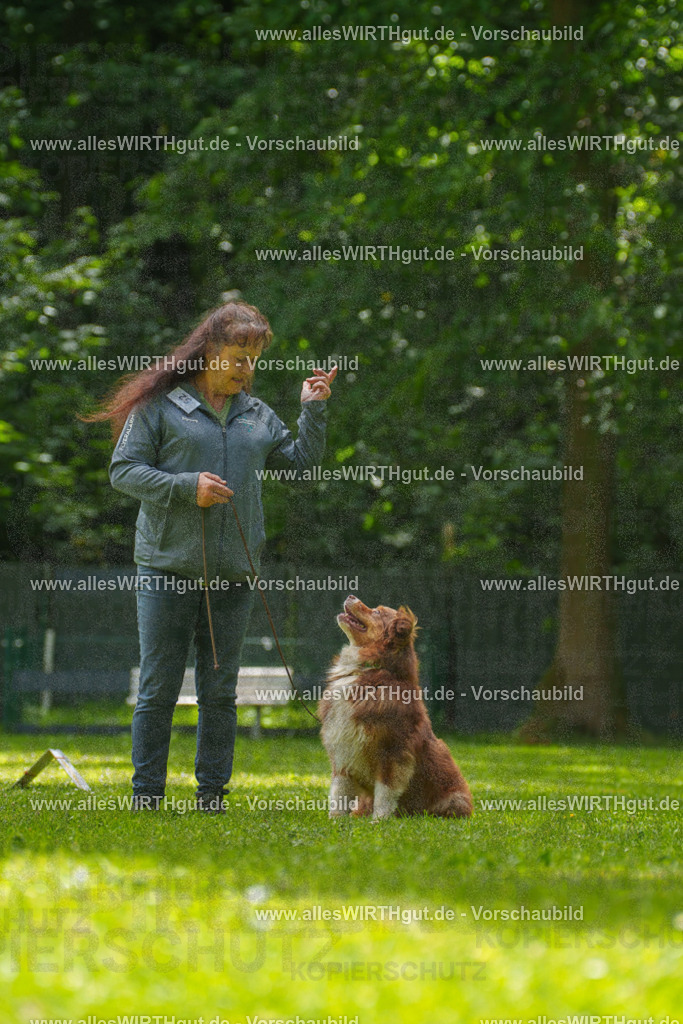 @allesWIRTHgut_Tierfotografie - www.allesWIRTHgut.de - 7R500811 | Professionelle Tierfotografie in Mönchengladbach von Daniel Wirth (allesWIRTHgut). Liebevolle & natürliche Bilder von Hunden & Katzen für unvergessliche Erinnerungen.