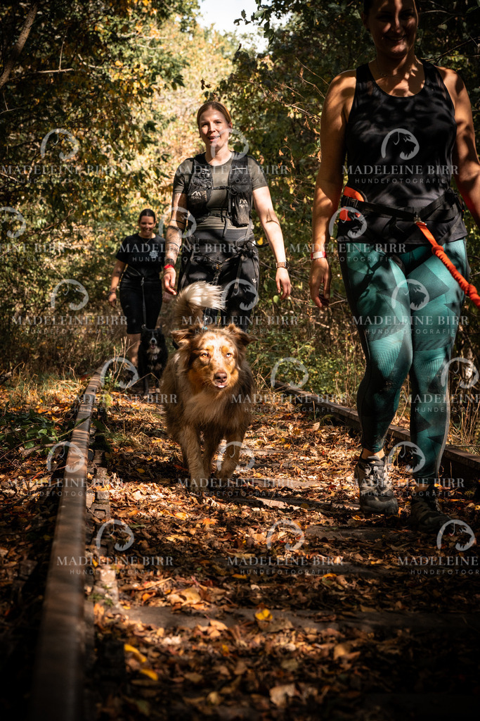 madeleinebirr.fotografie.2026.cc.hunsrueck.12-13Uhr.50 | hundefotografie-birr