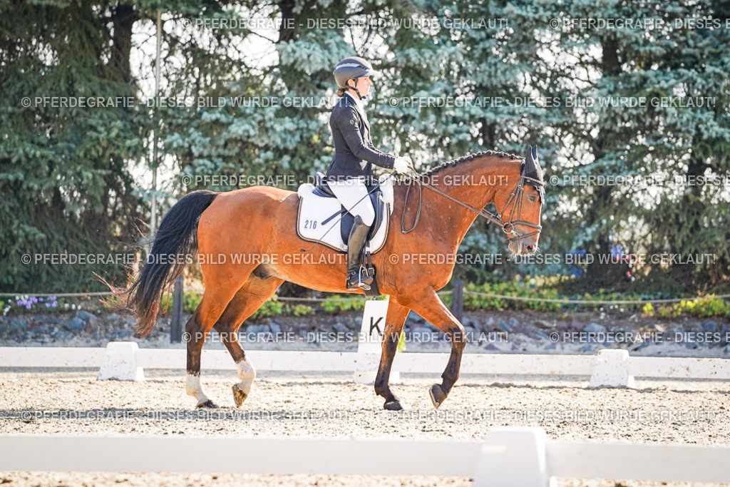 DSC09753 | Pferdegrafie