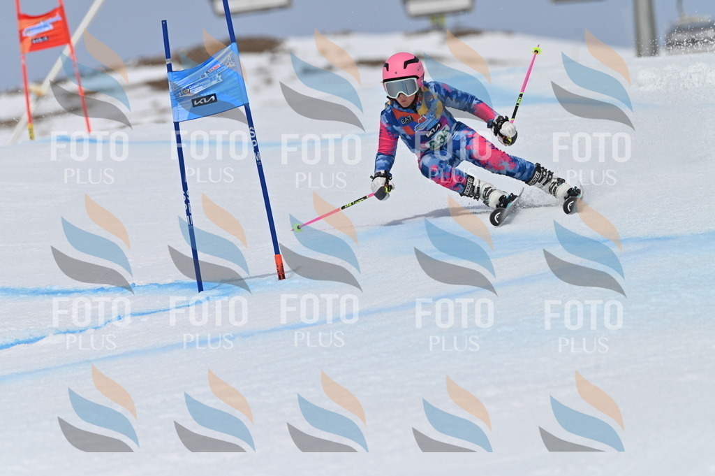 BGV_4664 | holidayphoto