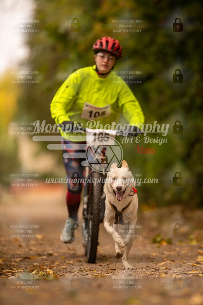 CDLBDB_14_10_2023_Samedi-154 | PayLife