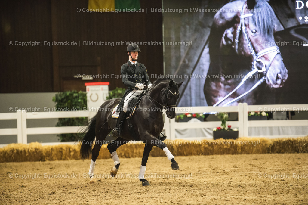 20240302_Hengstvorstellung_Marbach_TOMsPiC_1518 | equistock