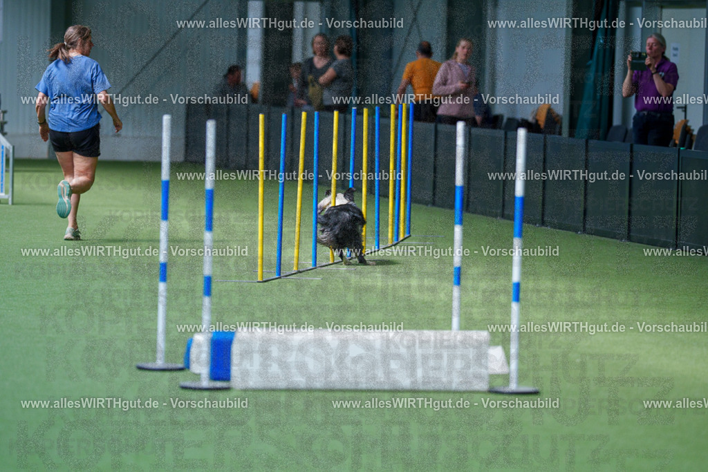 @allesWIRTHgut_Tierfotografie - www.allesWIRTHgut.de - 2604261400-7R503184 | Professionelle Tierfotografie in Mönchengladbach von Daniel Wirth (allesWIRTHgut). Liebevolle & natürliche Bilder von Hunden & Katzen für unvergessliche Erinnerungen.