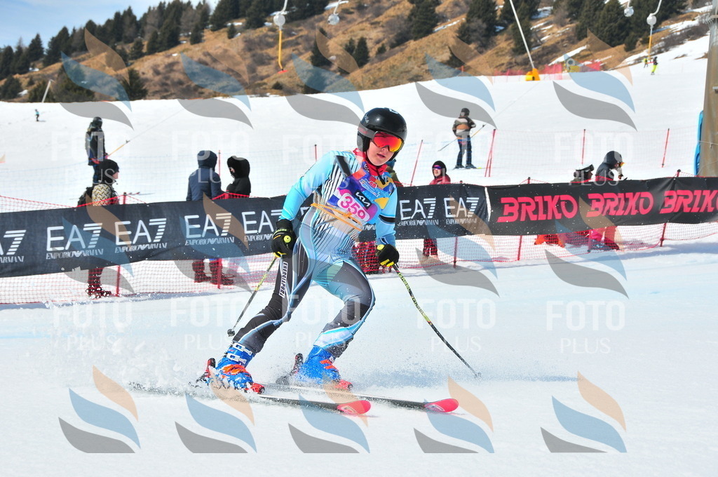 DSC_7027 | holidayphoto