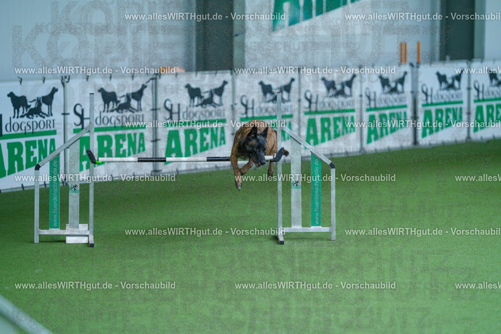 @allesWIRTHgut_Tierfotografie - www.allesWIRTHgut.de - 2604261405-7R503405 | Professionelle Tierfotografie in Mönchengladbach von Daniel Wirth (allesWIRTHgut). Liebevolle & natürliche Bilder von Hunden & Katzen für unvergessliche Erinnerungen.