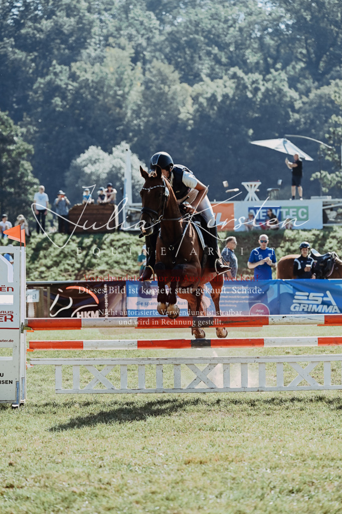 DSC_5427 | Pferde- und Turnierfotografie in Westsachsen. Pferdeportraits, Auftragszeichnungen und intuitive Kunst.