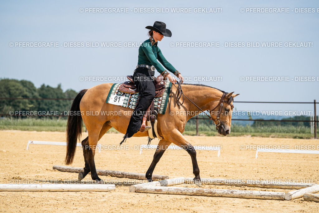 DSC01370 | Pferdegrafie