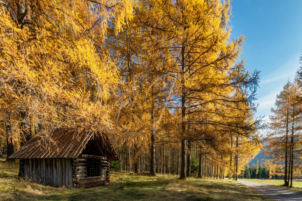 Mieming | Herbst am Mieminger Plateau