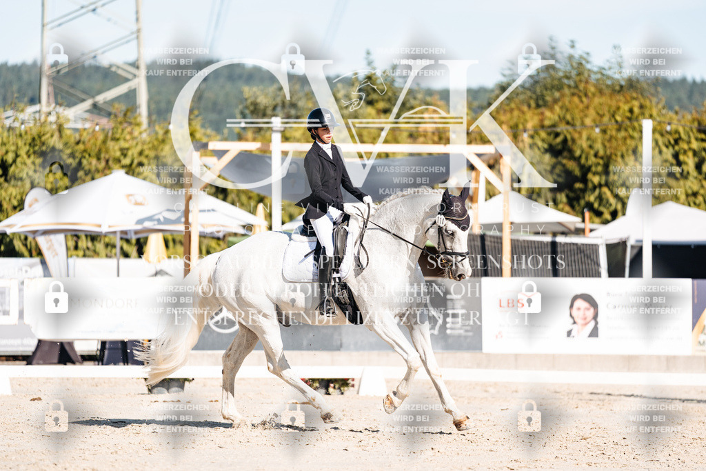 CK907594 | Turnierfotografie Pferdefotografie Trier Rheinland-Pfalz Pferdesport Reitsport Tierfotografie Sportfotografie Pferdevideo Pferdevideografie Equestrianvideography equestrianphotography  - Realisiert mit Pictrs.com