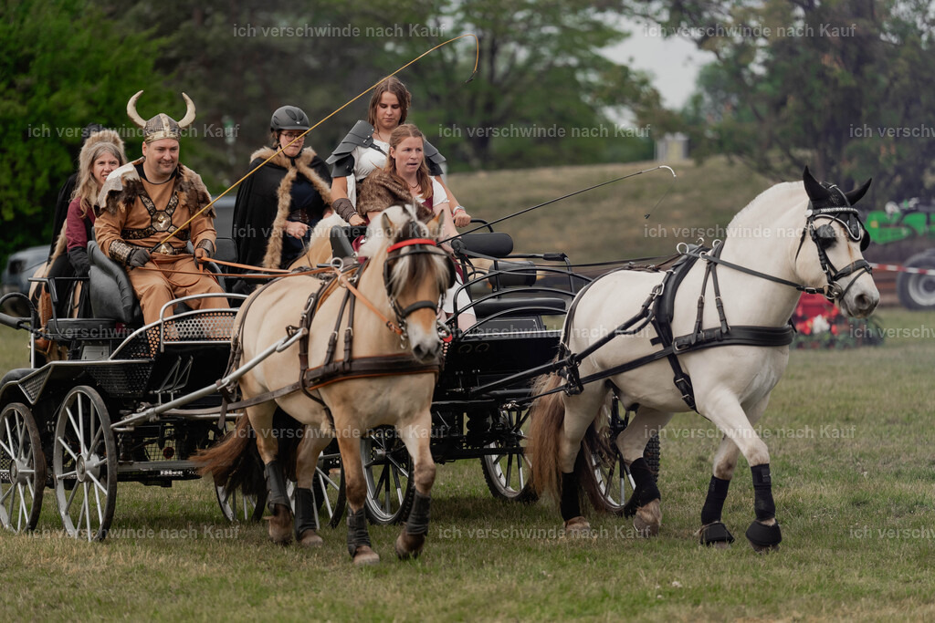Showprogramm-330 | working equitationturnier fotograf videograf stoibphotography marixx film working equitation deutschland reitsport turnierfotografie eventfotografie equestrian events
