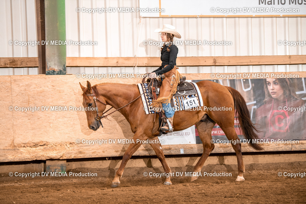 Balingen Tag 2-461 | dv-media-shop - Realisiert mit Pictrs.com