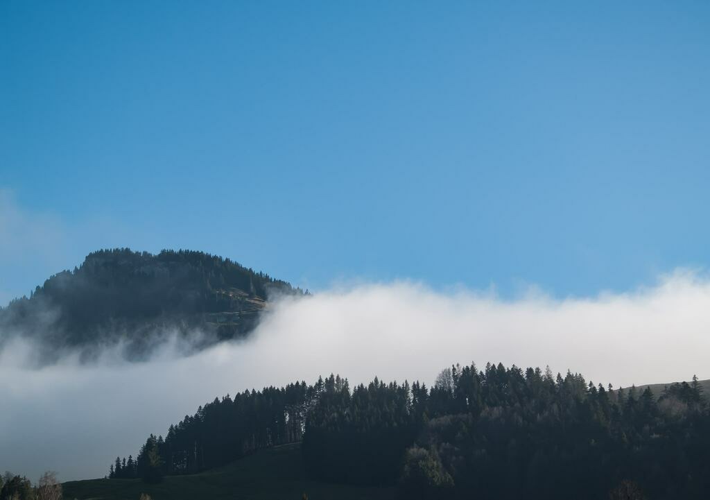 PSX_20230107_231933 | mtkfoto_ - Realisiert mit Pictrs.com