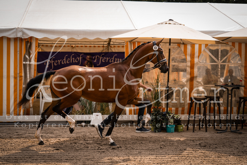 FrER00059 | Leoni Ertmer Photography - Realisiert mit Pictrs.com