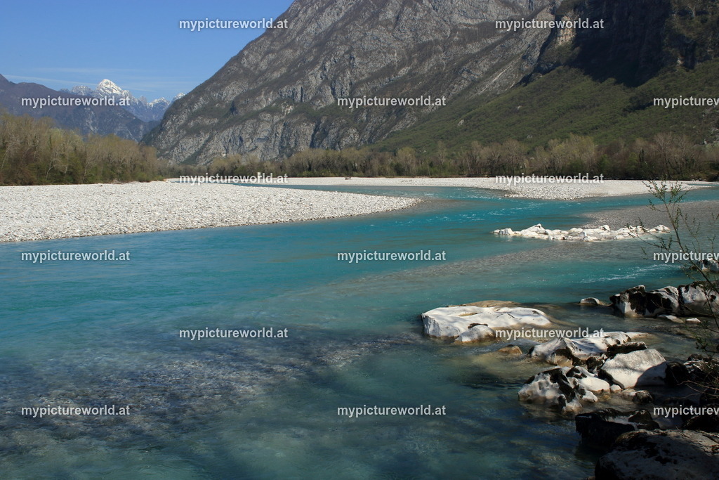 Tagliamento-007 | Das Bilderarchiv über Tiere, Planzen und Landschaften. In der Bilddatenbank finden Sie ein große Auswahl an hochwertigen Bilder für Ihre Werbung - Realisiert mit Pictrs.com