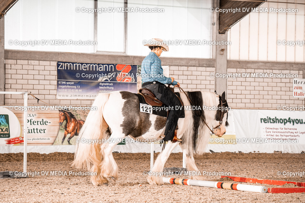 ZH300174 | dv-media-shop - Realisiert mit Pictrs.com