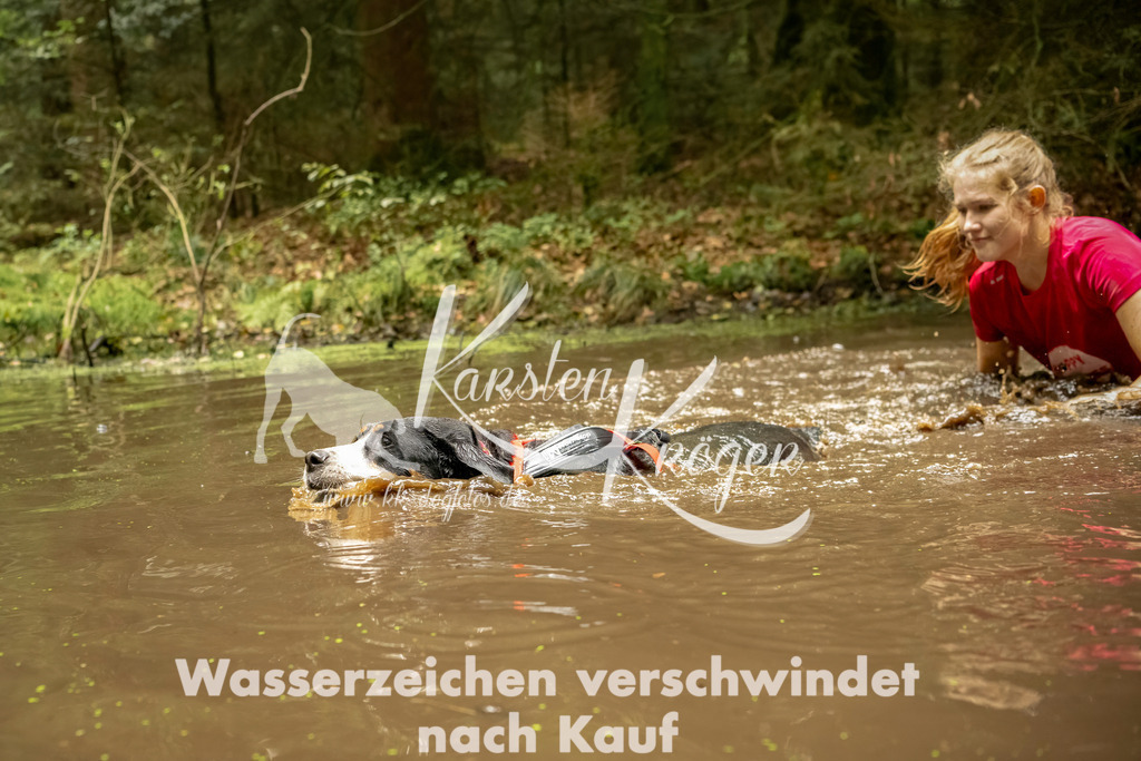1215_ZZ93391-Bearbeitet | kk-dogfotos