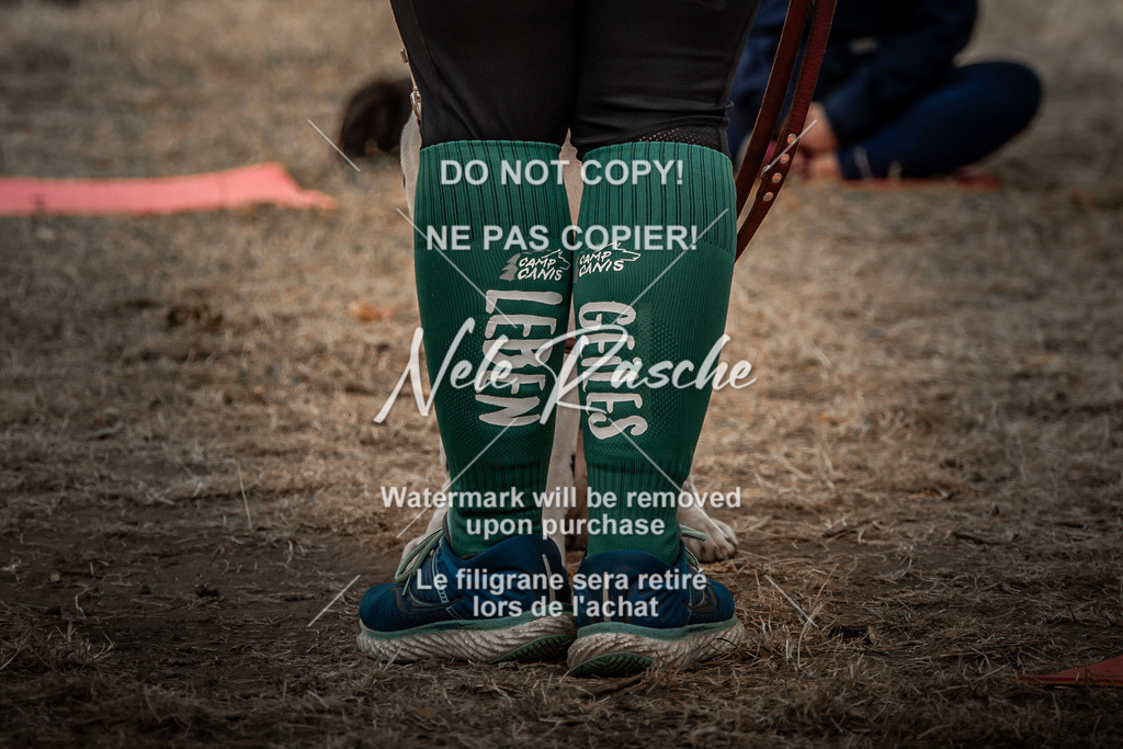 nelerasche_freitag2_076 | nelerasche
