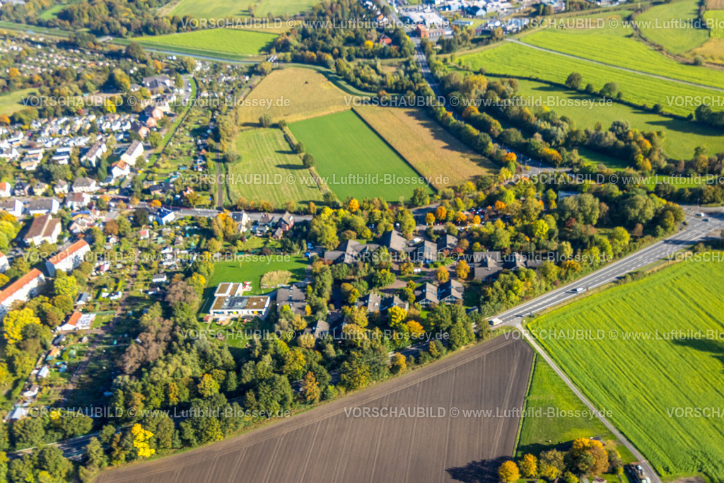 Hamm241007194 | Luftbild, Sport-Kita Ahsestrolche Kindergarten, Fortbildungszentrum Ahsepark Ausbildungszentrum, herbstliche Bäume, Mitte, Hamm, Ruhrgebiet, Nordrhein-Westfalen, Deutschland