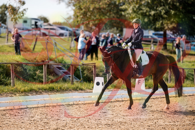 2026_10_03_Siefer-Hof_133642_Z63_97693967 | Professionelle Reitsport-, Turnier- und Eventfotografie von Robert Broda. Galerien mit ausgewählten und bearbeiteten Bildern direkt online ansehen und bestellen.