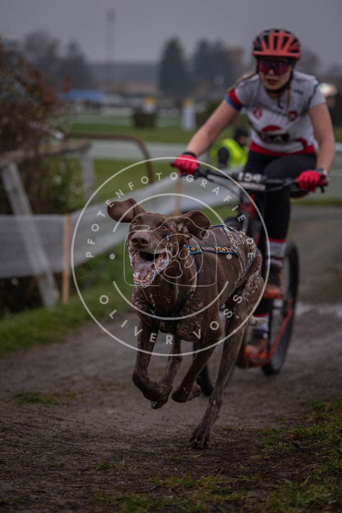 CaniXpix_0L8A0442 | Hundefotografie, Tierfotograf, Pfotenfotografie, Fotoshooting Hund, Hunde Portrait, Hundesport, Hundeportraits, Heideshooting, Hunde, Sportfotograf, Hundefotograf, Turnierhundsport, THS,  - Realisiert mit Pictrs.com