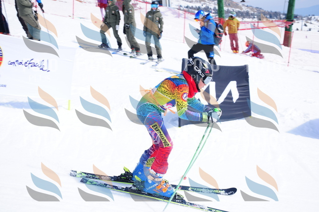 DSC_5990 | holidayphoto