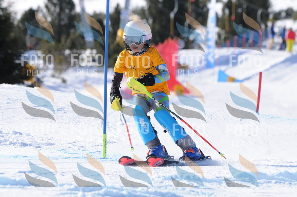 C6963 | holidayphoto