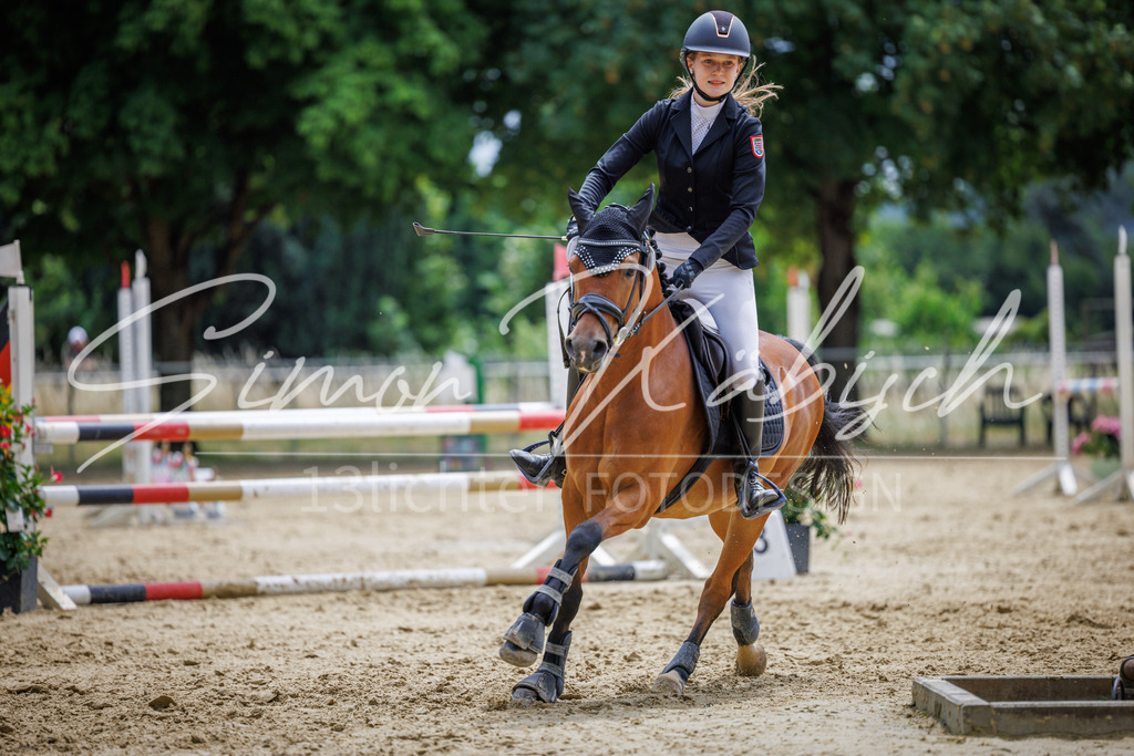 20260705-_3LI5495 | Tierfotografie Pferde, Hunde, Katzen, Haustiere.
Turnierfotografie Reitturniere, Reiten, Springreiten, Dressur in Hanau, dem Main-Kinzig-Kreis und dem Rhein-Main- Gebiet um Frankfurt