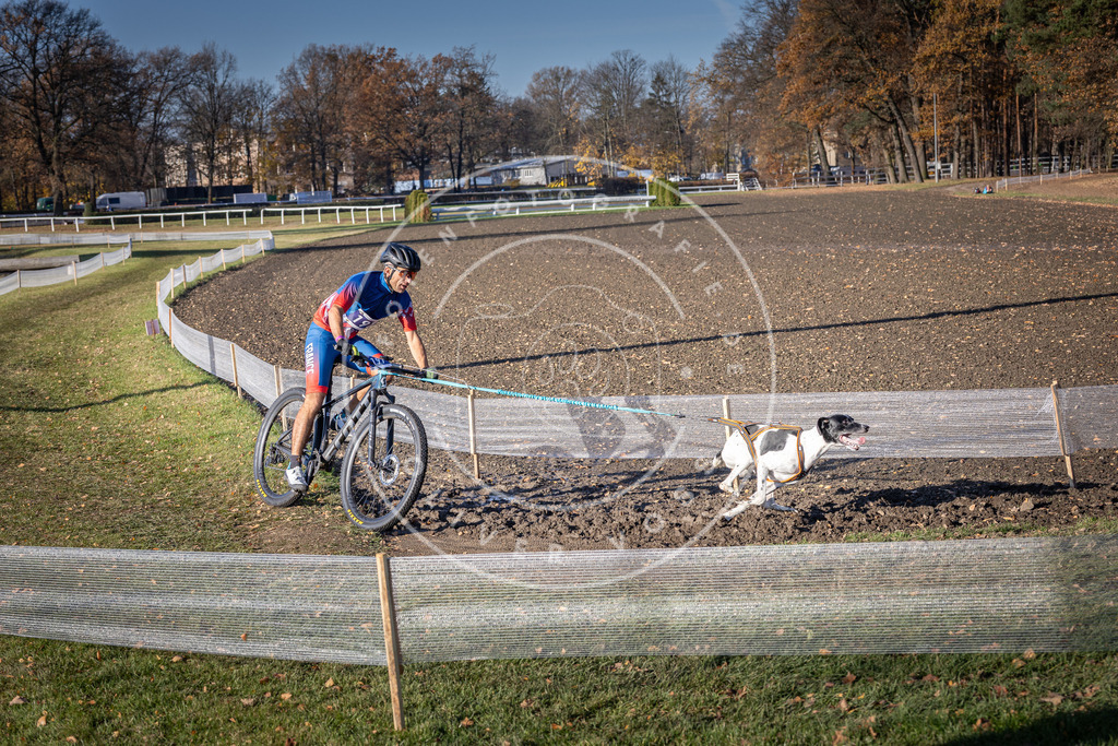 CaniXpix_DV3A2620 | Hundefotografie, Tierfotograf, Pfotenfotografie, Fotoshooting Hund, Hunde Portrait, Hundesport, Hundeportraits, Heideshooting, Hunde, Sportfotograf, Hundefotograf, Turnierhundsport, THS,  - Realisiert mit Pictrs.com