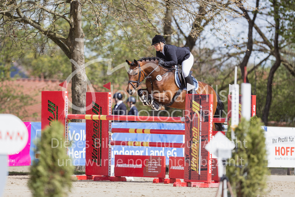 230501_SpengeW_M2St-128 | Deine schönsten Turniermomente als professionelle Fotos! Entdecke hochwertige Pferdesport-Fotografie im Online-Shop. Jetzt Fotos finden & bestellen!