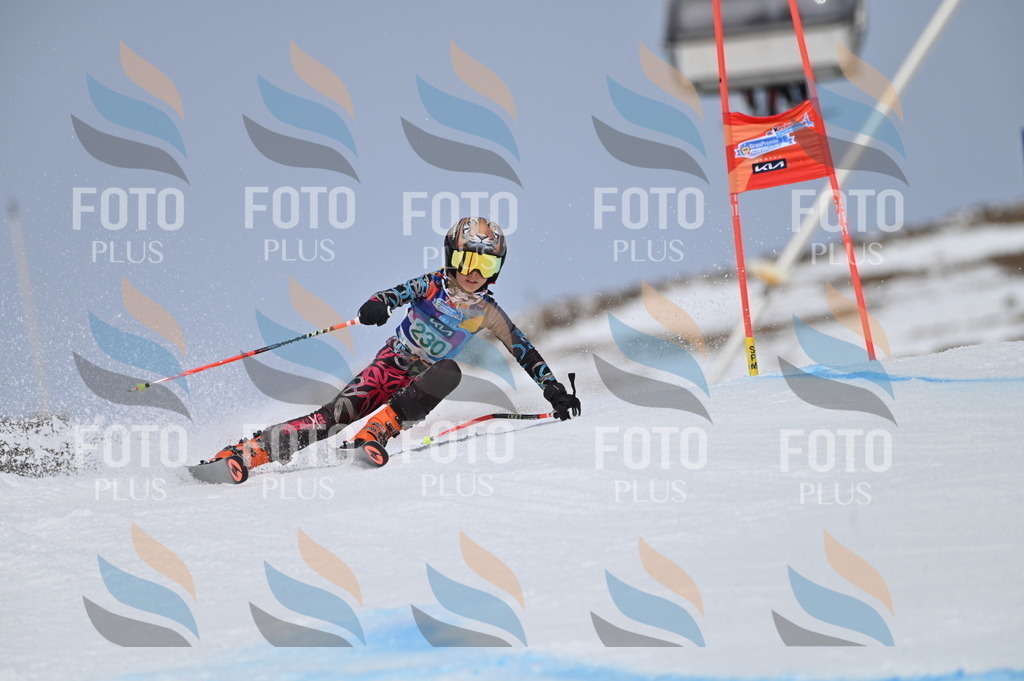 BGV_4544 | holidayphoto