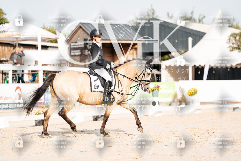 CK904187 | Turnierfotografie Pferdefotografie Trier Rheinland-Pfalz Pferdesport Reitsport Tierfotografie Sportfotografie Pferdevideo Pferdevideografie Equestrianvideography equestrianphotography  - Realisiert mit Pictrs.com