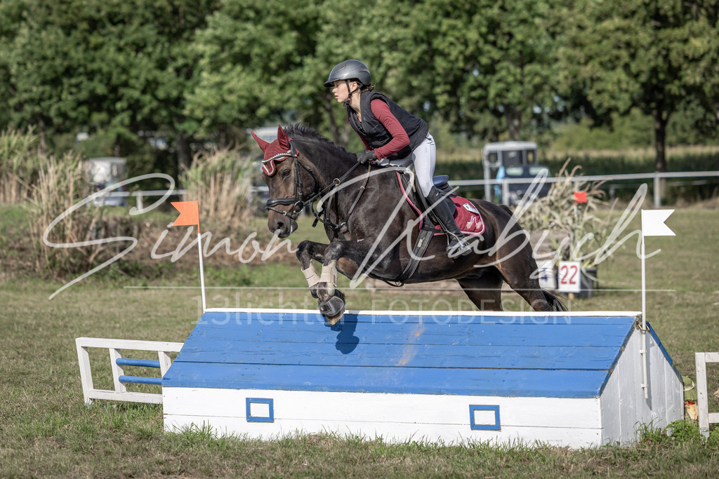 20250907-_3LI9385 | Tierfotografie Pferde, Hunde, Katzen, Haustiere.
Turnierfotografie Reitturniere, Reiten, Springreiten, Dressur in Hanau, dem Main-Kinzig-Kreis und dem Rhein-Main- Gebiet um Frankfurt