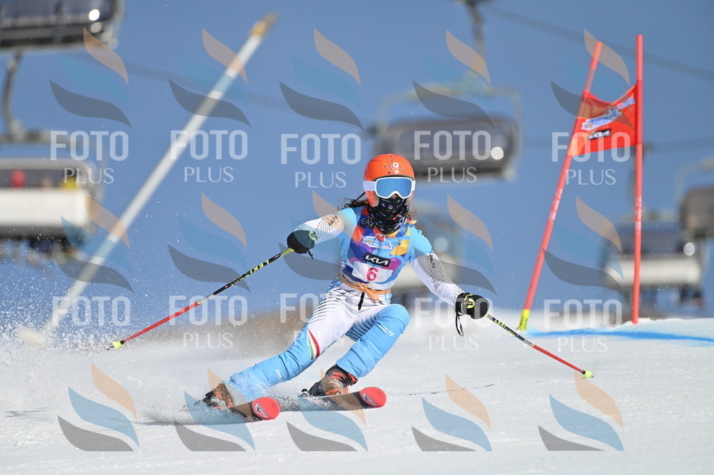 BGV_7666 | holidayphoto