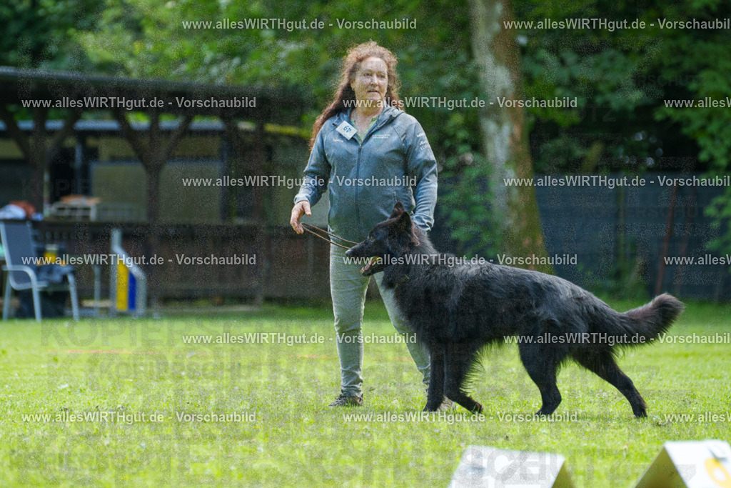@allesWIRTHgut_Tierfotografie - www.allesWIRTHgut.de - 7R505737 | Professionelle Tierfotografie in Mönchengladbach von Daniel Wirth (allesWIRTHgut). Liebevolle & natürliche Bilder von Hunden & Katzen für unvergessliche Erinnerungen.