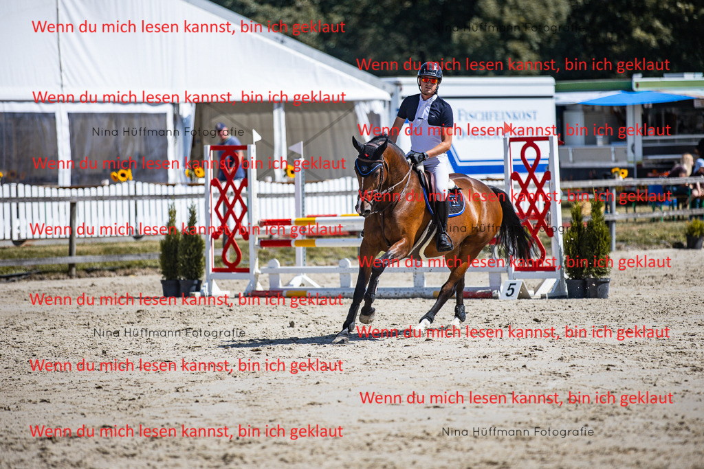BK1A5330 | Turnierbilder Turnierfotos Nina Hüffmann Turnierfotografie Pferdefotografie Tierzeichnung Haustierzeichnung Pferdezeichnung Hundezeichnung Videograf  - Realisiert mit Pictrs.com