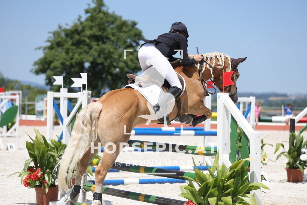 0P6A8836 | Willkommen bei Brunnmayr - Design & Fotografie – Ihrem Spezialisten für Reitturniere und Pferdeveranstaltungen in Oberösterreich, Salzburg und Bayern! Seit über 17 Jahren sind wir leidenschaftlich dabei.