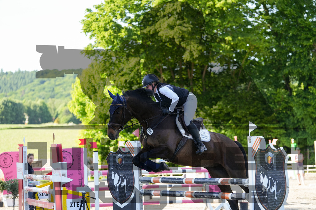 DSC02493 | Julian Held Fotografie - Realisiert mit Pictrs.com