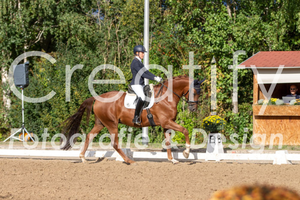 IMG_4760 | Creatify Fotografie