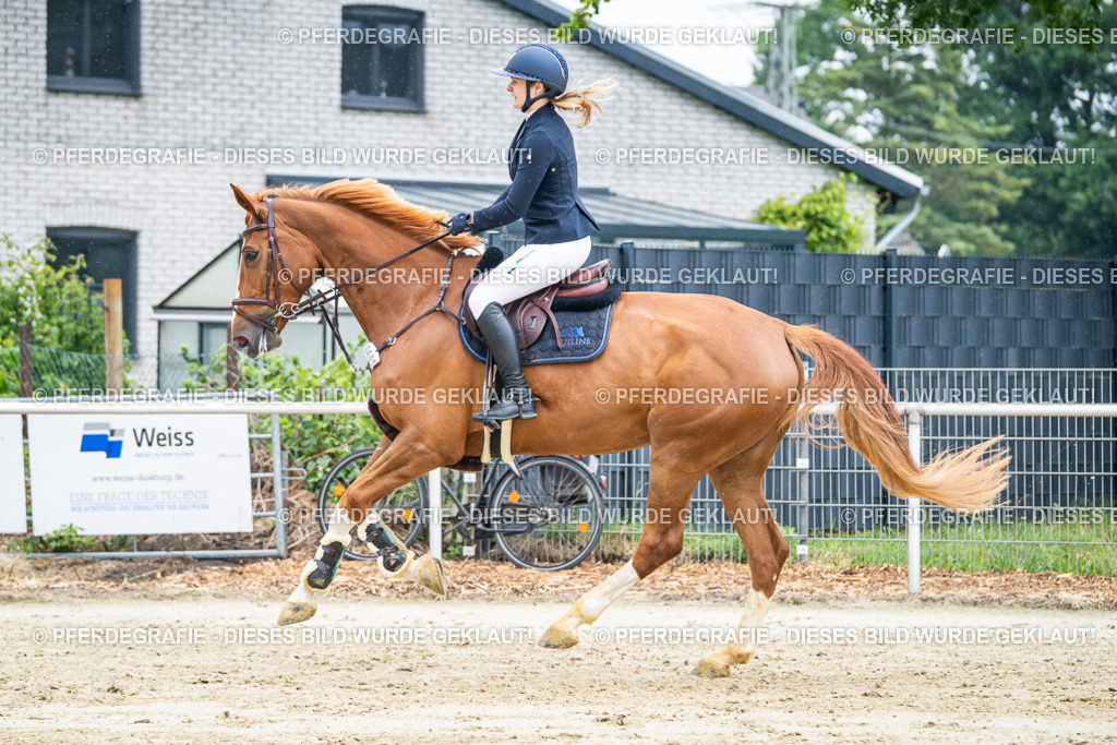 DSC01805 | Pferdegrafie